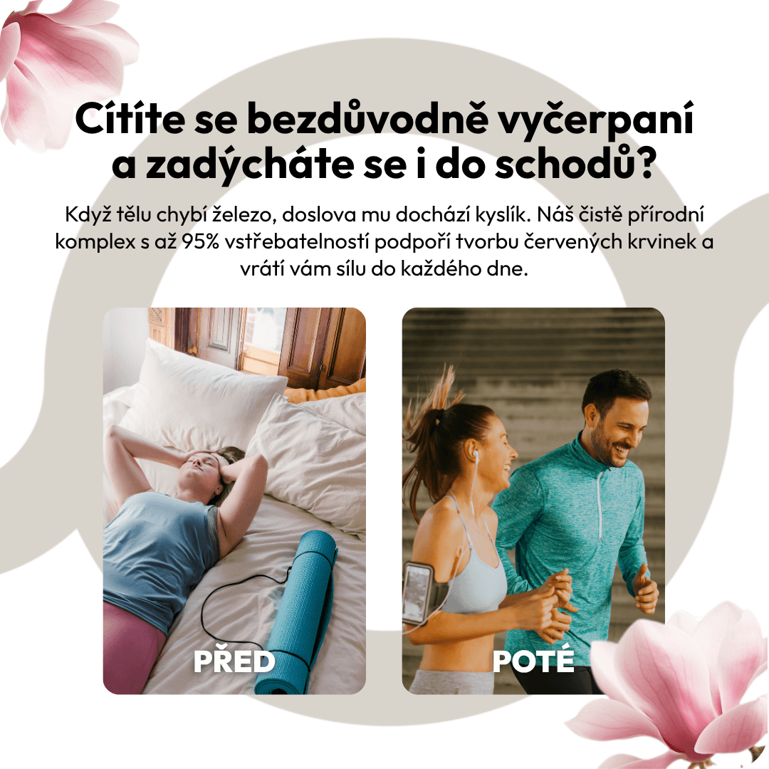 Železo+C+B9+B12 2 CZ
